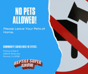 No Pets